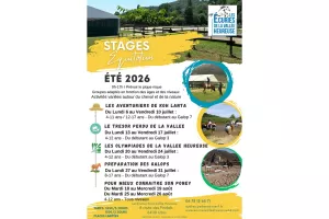 Stage Equitation Eté 2026