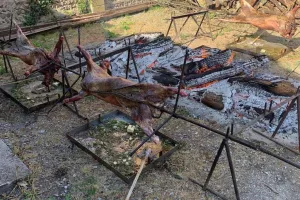 MÉCHOUI DE L'ACCA