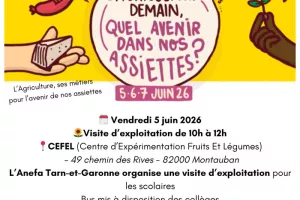 Visite Exploitation - Atelier - Jeux