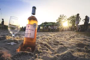 Domaine de Grange Neuve | Vign'en plage