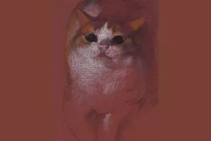 Rencontres de chats - exposition de Yve Li