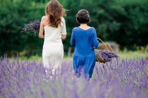 Balade dans le chmap de lavande à Puy Jaillant Family Farm