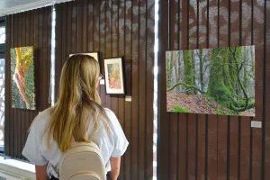 Exposition - Nos villages en images, notre territoire en lumière
