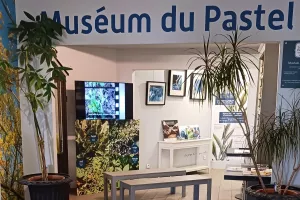 ENTRÉE AU MUSÉUM DU PASTEL GRATUITE