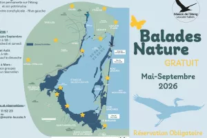 BALADE NATURE : LES OISEAUX DU BÂTI