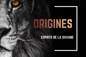 "Origines, esprits de la savane" par le Centre Danse Cenon