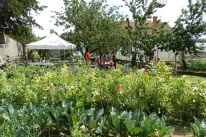 Découverte du jardin partagé