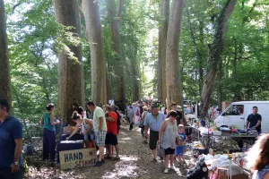 Vide grenier de Mayac