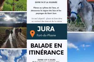 Balade avec les ânes
