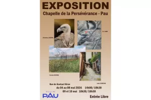 EXPOSITION DE PEINTURES