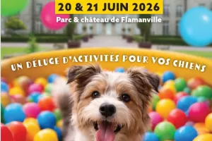 Ouaf ! festival