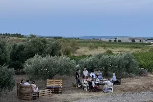 SUNSET PARTY