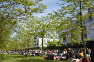 Vide-Grenier de la Haute Borne