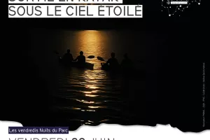 Sortie en kayak sous le ciel étoilé