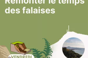 Balade Remonter le Temps des Falaises à Erretegia - CPIE Littoral basque