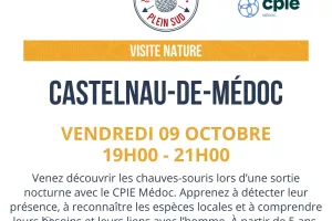 Sortie nature "Découverte des chauves-souris"
