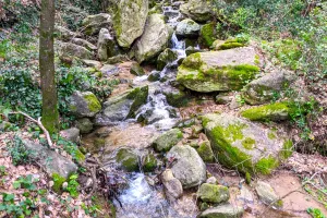 BALADE NATURE ET PATRIMOINE "LA FORGE MURMURE"