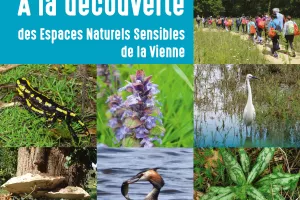 La biodiversité en automne